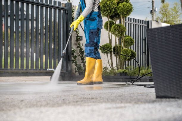 Best Roof Power Washing Services  in Chatmoss, VA